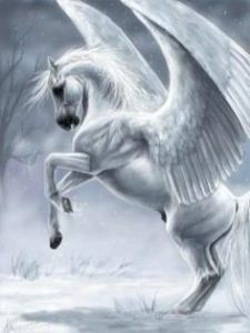 pegasas