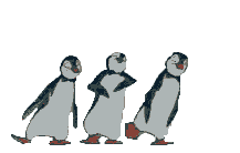 dancingpenguins