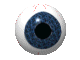 bigeyes