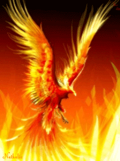 fenix
